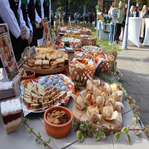 skolski-gastrofest-Doboj 16